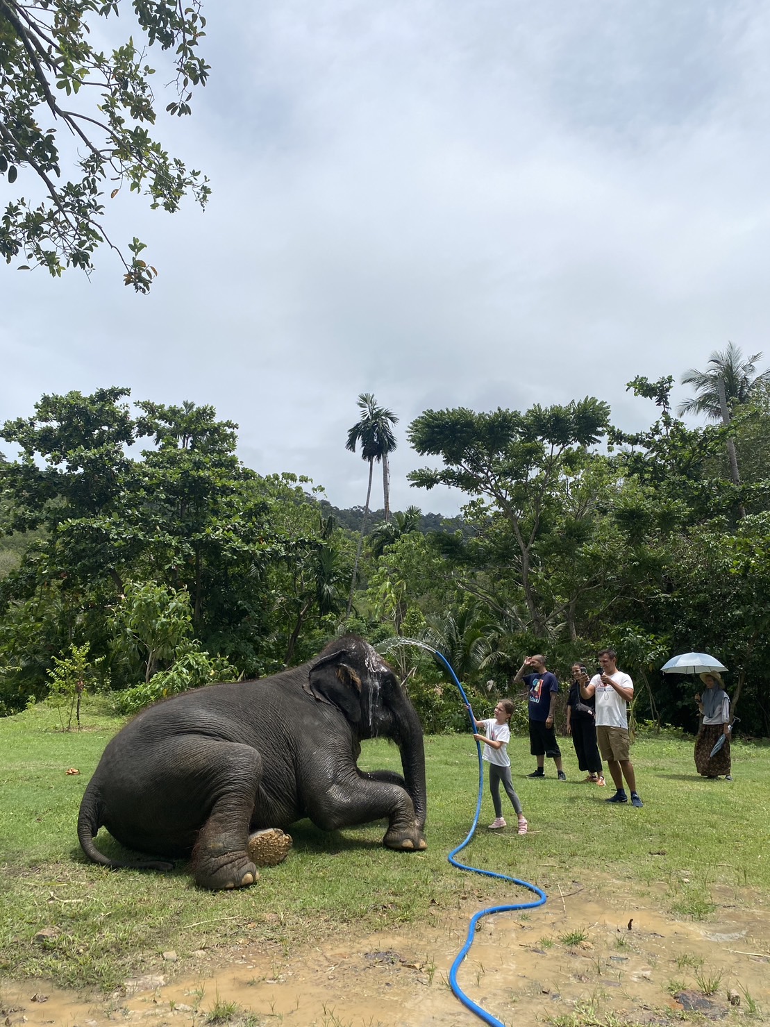 Program A - 2Hr - Image 3