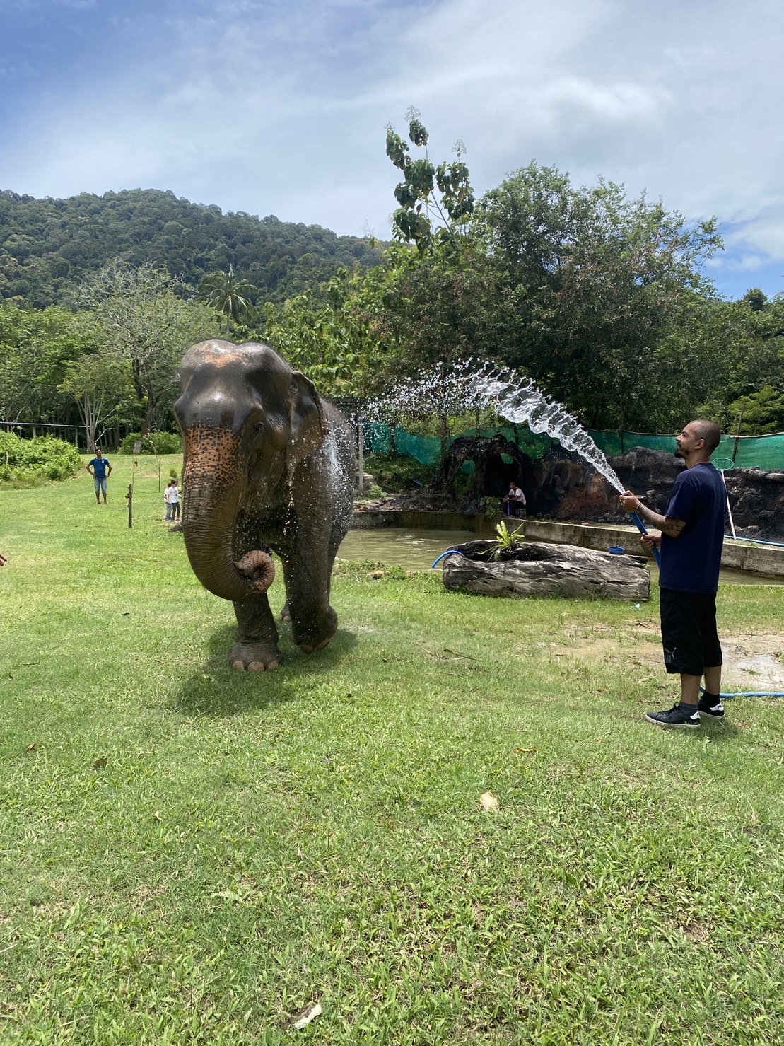 Program A - 2Hr - Image 2