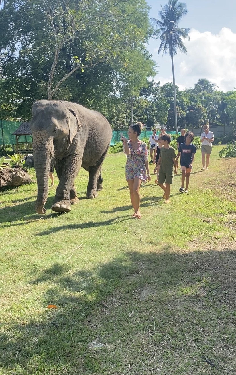 Program C - Half Day - Image 3