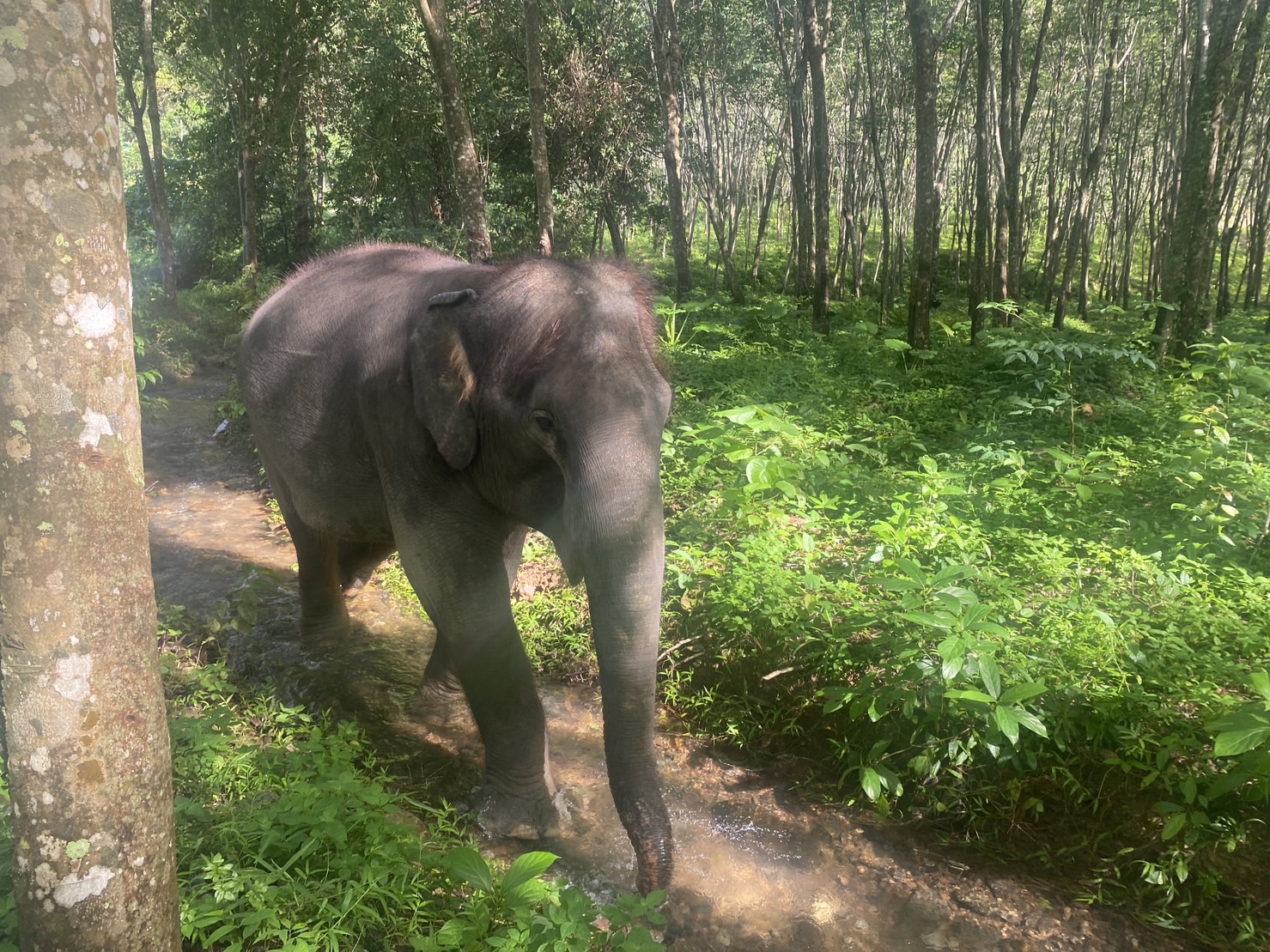 Program C - Half Day - Image 4