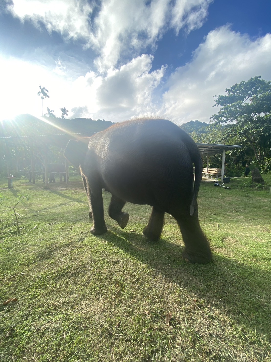 Program A - 2Hr - Image 4