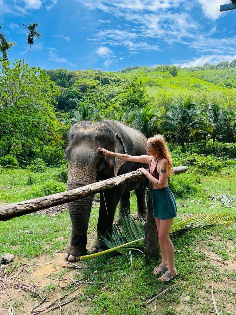 Program C - Half Day - Image 2