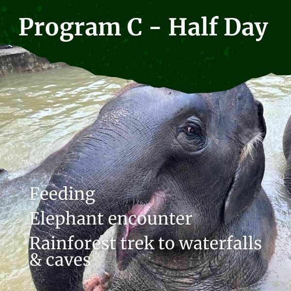 Program C - Half Day