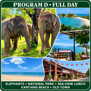 Program D – Koh Lanta Full-Day Tour with Elephants, National Park and Old Town